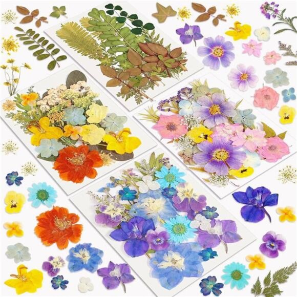 100Pcs Dried Pressed Flowers for Craft Resin, Retro Style Real Pressed Flowers - Picture 1 of 7
